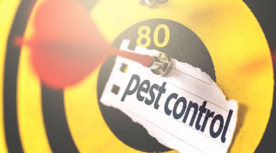 Professional pest control services in Felton